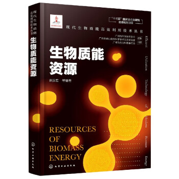 生物质能资源(精)/现代生物质能高效利用技术丛书