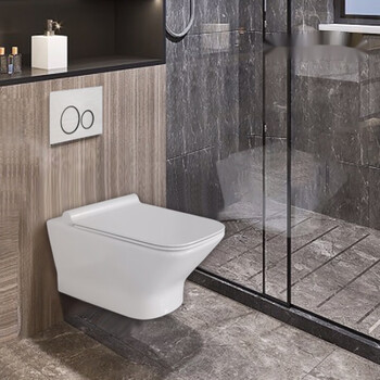 隐藏入墙式水箱挂壁坐厕 静音悬挂式智能座便器定制 标准水箱 面板