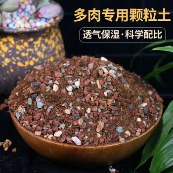 多肉植物专用颗粒营养土泥炭土配方肉肉土叶插土纯颗粒十二合一多肉颗粒土5斤 图片价格品牌报价 京东