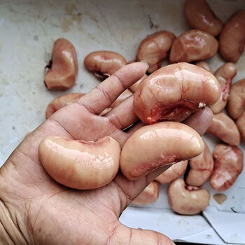 火鸡肾鸡睾丸2斤新鲜冷冻火鸡肾鸡腰鸡卵火鸡睾丸火鸡子大火鸡腰 2斤