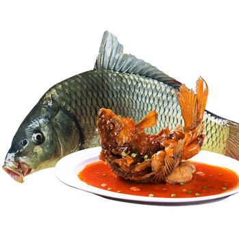 【顺丰空运】太朴有机会天然活水鲤鱼 河鱼 河鲜 淡水鱼 现捕现杀