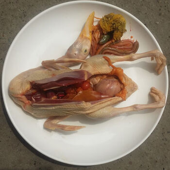 农家土鸭老鸭麻鸭子 草鸭水鸭番鸭 笨鸭 新鲜鸭肉鸭白条