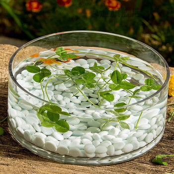 水缸 造景庭院加厚鱼缸圆形不割手圆口唉低荷花缸水培一叶莲玻璃钱草