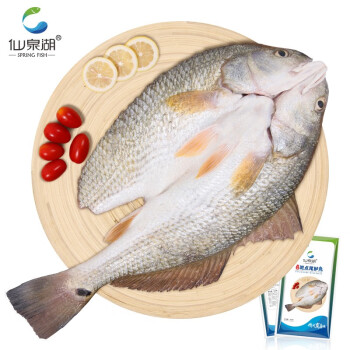 仙泉湖三去斑點(diǎn)尾鱸魚 500g*1條 凈膛冷凍肉厚刺少 海鮮水產(chǎn)食材