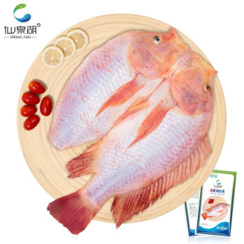 仙泉湖三去星洲紅 500g*1條 凈膛冷凍羅非魚海鮮水產(chǎn)食材 刺少