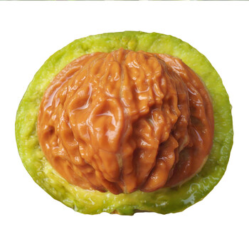 野生青皮文玩麻核桃白狮子头元宝蛤蟆头大粗筋将军膀南疆石南瓜墩