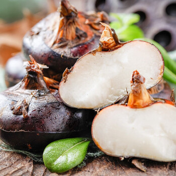 广西特产新鲜马蹄荸荠甜脆少渣农家自种现挖现发1斤大果