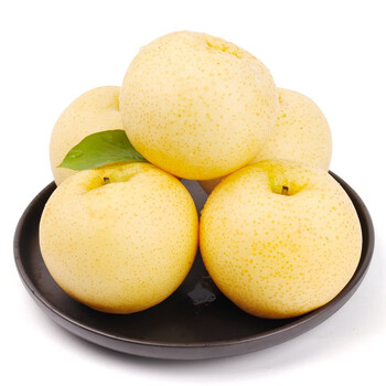彩云城 博望坡黄金梨 冰糖雪梨 新鲜水果5斤10到12个