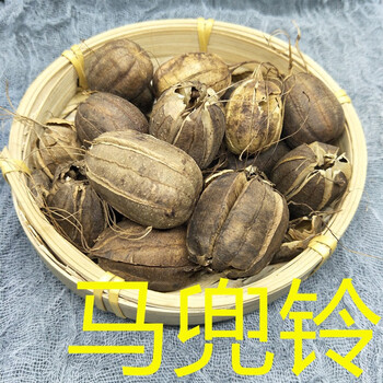 药声录马兜铃中药材水马香果葫芦灌马兜零臭铃铛500克