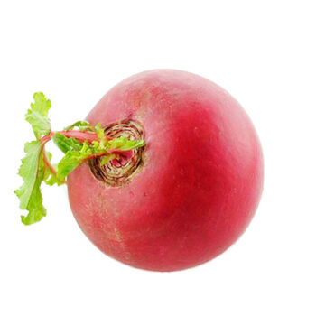 东北大红萝卜大红袍红皮白心圆萝卜新鲜农家种植甜脆爽口大红萝卜一个