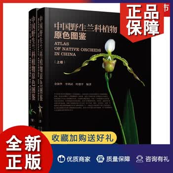 正版中国野生兰科植物原色图鉴上下卷金效华兰花图鉴基础知识种类分类园艺栽培兰科植物花叶特征 金效华等 摘要书评试读 京东图书