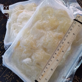 发好金钩翅鲜冻35只装解冻加热即食酒店婚宴会所精选食材鱼翅