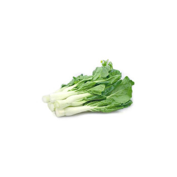 (企业专属)  白菜心 500g