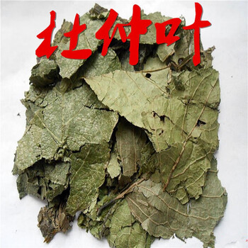 晒干杜仲叶 中药材  杜仲树叶 1千克