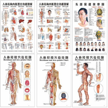 人体结构内脏器官功能骨骼血管心脏肝肺呼吸消化系统构造解剖挂图全套6张 图片价格品牌报价 京东