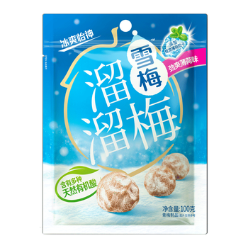 溜溜梅薄荷雪梅 孕妇儿童休闲零食小包装零食即食果干100g/袋 薄荷味雪梅 100g*1袋 「入口清凉」