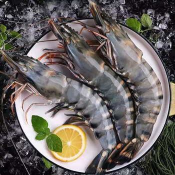 诺斯食美新鲜生冻冷冻黑虎虾大虾鲜活超大速冻海鲜水产大虾虎虾海虾特