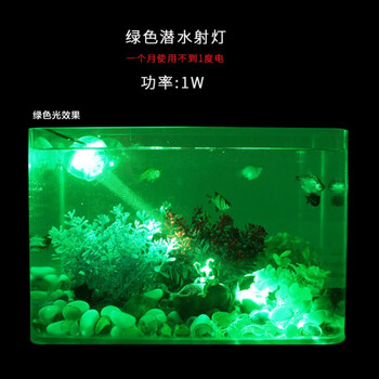 水陆两用鱼缸led潜水射灯水族箱夜明珠防水七彩水草灯变色小夜灯绿色潜水射灯 图片价格品牌报价 京东