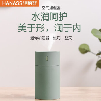 海纳斯（HANASS）加湿器 卧室迷你家用办公室桌面车载静音上加水小型usb便携 加湿器 HM-101