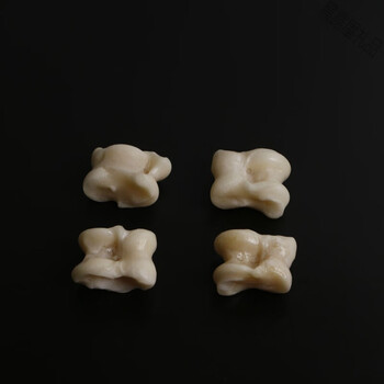 羊嘎拉哈 羊拐骨 髀石嘎啦哈旮旯哈羊骨头子儿传统怀旧玩具 精选款