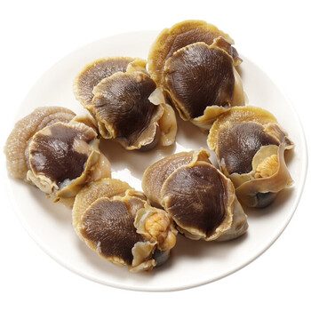 大菜园 青岛沙子口新鲜海螺肉 手工现剥鲜活大海螺新鲜蔬菜水果 生鲜