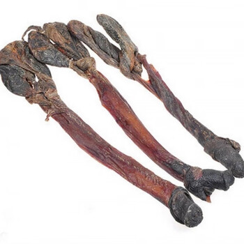 中药材泡酒料牛鞭鹿鞭 驴鞭 狗肾 狗鞭 狐狸鞭貂鞭鞭类大全送人参