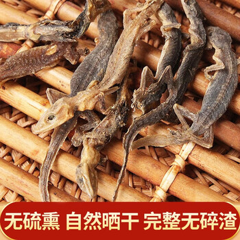 igiftfire 壁虎守宫天龙中药材整条爬墙虫天龙干壁虎干中药材壁虎粉