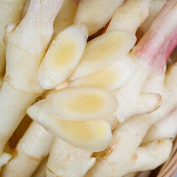 嫩姜生姜新鲜仔姜子姜四川指头现挖生泡糖醋老红芽姜 250g【图片 价格