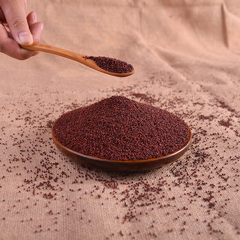 粟米 广西特产鸭脚粟龙爪粟米粉拳头粟米粒儿枕头红黄小米粥五谷杂粮5