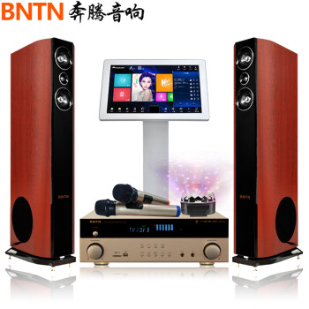 奔腾（BNTN）智能语音点歌机家庭影院ktv音响组合功放套装家用卡拉OK双系统一体机落地式影院838配新贵主箱