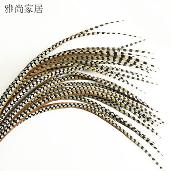奥尔瑞美俏花旦羽毛翎子天然羽毛加长翎子毛翎戏曲京剧装饰 140~145cm 1支 嫁接【图片 价格 品牌 报价】-京东