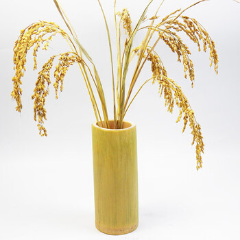 稻杆干稻穗稻谷子干花摆设装饰成熟水稻结婚庆祝拍摄影道具橱窗装