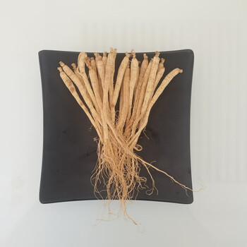 整支生晒参500g东北人参吉林长白山参新鲜白参干人参可切片25根单根1