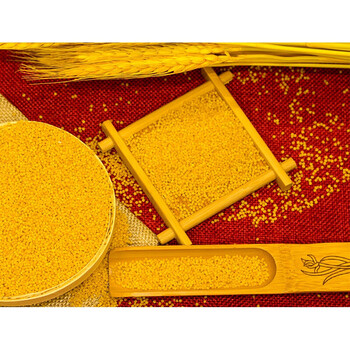 蔚县黄小米粥5斤蔚州特产贡米新米农家粥五谷杂粮粗食