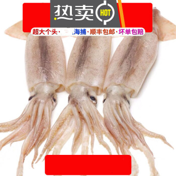 大魷魚鮮活整隻魷魚新鮮冷凍魷魚墨魚八爪魚烏賊深海大魷魚魷魚須5斤