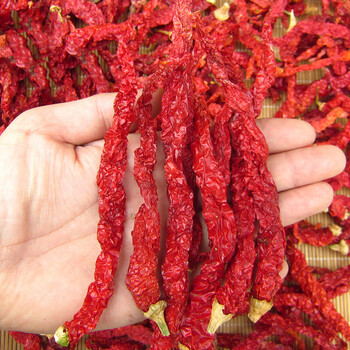fghgf二荆条干辣椒500g 超香 微辣秦椒 线椒  二荆条 干辣椒油辣子