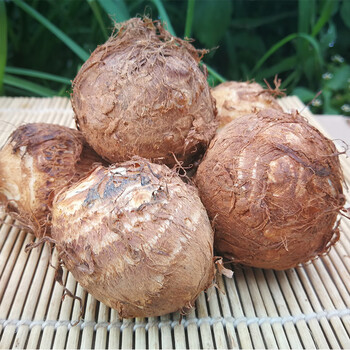 qefh云南芋头新鲜小芋头芋艿粉糯毛芋头香芋芋头生鲜蔬菜5斤装3斤