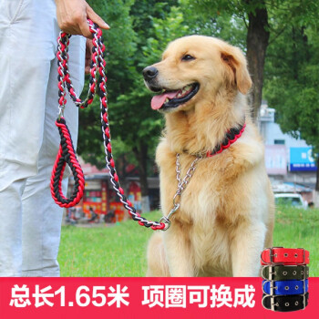 防咬斷狗鏈子鐵鏈中型大型犬狗狗牽引繩金毛拉布拉多薩摩耶遛狗繩