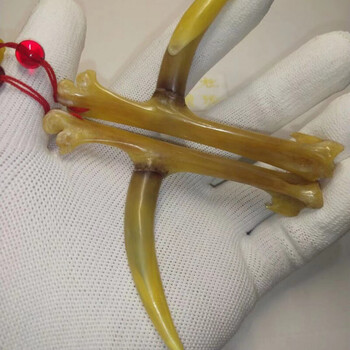 文玩鸡蹬子新品老鸡骨骨鸡爪蹬把鸡爪文玩手骨l子件钱手把件拐子抓鸡