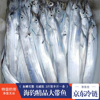 棠鲜生带鱼 精品海钓带鱼 新鲜特大整条带鱼礼盒整箱 海鲜水产生鲜鱼类 3斤装（半斤一条）