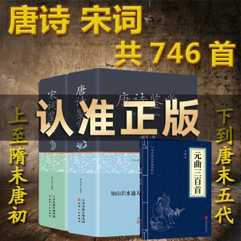 中国古诗词大全唐诗宋词鉴赏辞典元曲三百首全集学生版古文赏析详解精装2册