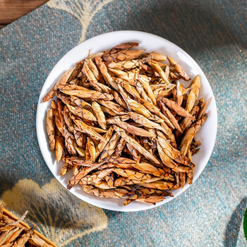 停月居牌老鹰芽茶500g四川特产老荫茶叶嫩芽罐装一斤装广元重庆特产