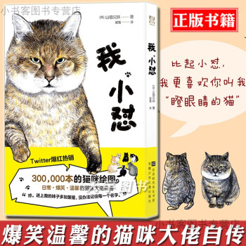 现货 正版我 小怼山猫兄妹猫咪绘图日本网红猫咪真猫真事改编爆笑幽默温馨的猫咪大佬自传图像小说 摘要书评试读 京东图书