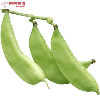 扁豆角早熟四季豆扁豆芸豆蔬菜架豆团建过年送礼送人送礼 3斤