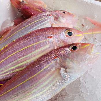 金线鱼新鲜海捕红杉鱼海鲜冷冻红三鱼深海金丝鱼冰鲜水产鲜活 限时3斤