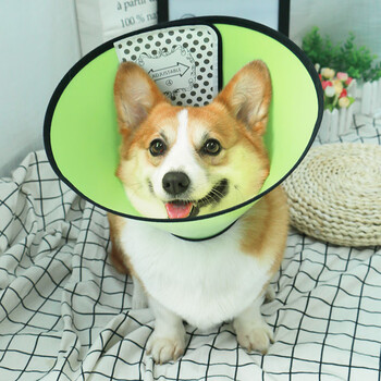 睡鲨宠物狗狗伊丽莎白圈防舔圈猫咪保护套加深防咬头套防伤口脖套绿色