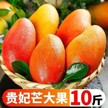 海南贵妃芒果当季新鲜水果小贵妃芒整箱特甜树上熟非青芒小台芒精选3