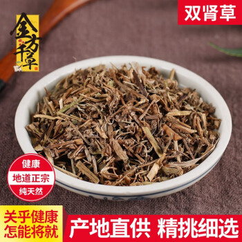 肾阳草的功效与作用图图片