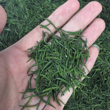 岩寅太湖翠竹无锡特产茶叶2023新茶特级500g散装无锡斗山绿茶5罐装