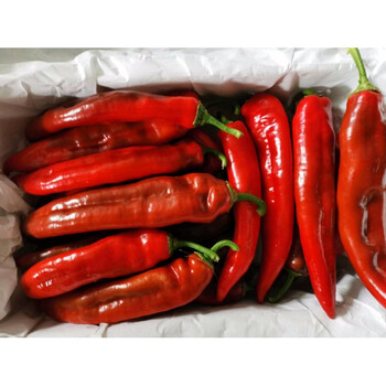新鲜辣椒红尖椒5斤新鲜蔬菜现摘新鲜大红辣椒剁椒辣椒红椒2斤